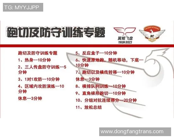 北京飞盘队区域防守分析：优缺点与战术调整探讨