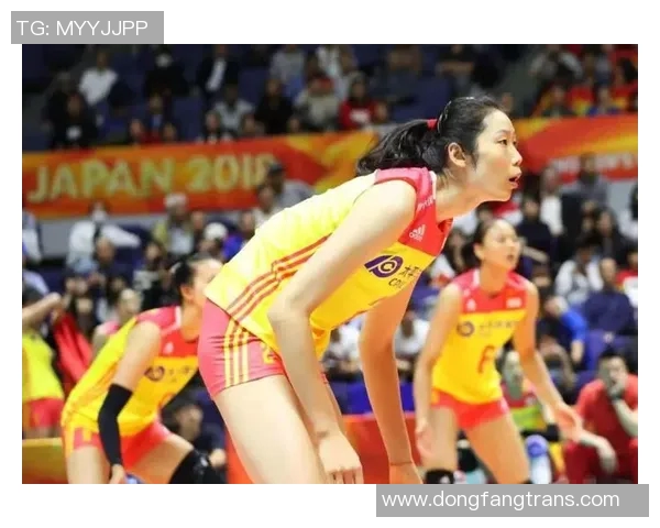 南京排球队个人能力排行榜分析他们为何位列第八名的原因探讨