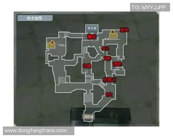 南京飞盘队进攻战术解析与团队配合策略深度剖析
