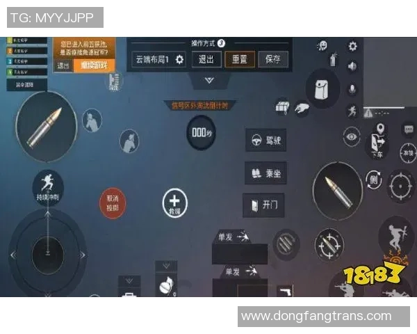 和平精英战术解析：深入了解WE战队的默契配合与战略布局