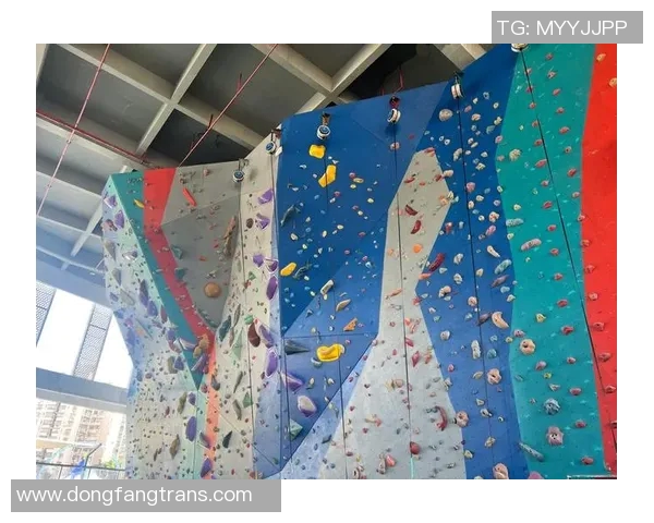 成都攀岩队勇夺全国攀岩速度排行榜第二名展现出色实力与团队精神