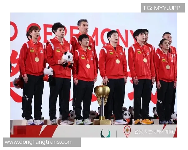 成都乒乓球队荣登全国速度排行榜第二名引发热议