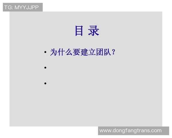 武汉足球队意识探讨:提升团队凝聚力与战术执行力的关键因素分析 武汉足球队意识探讨:提升团队凝聚力与战术执行力的关键因素分析