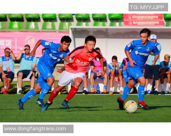 厄德高引领新潮流探索足球战术创新与团队协作的完美结合