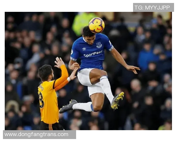 埃弗顿与狼队对决前瞻及预测结果分析，谁能赢得这场关键战役