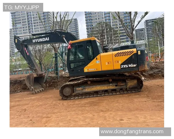 现代215Vs跑表技巧与实用经验分享，助你轻松掌握驾驶节奏与性能优化