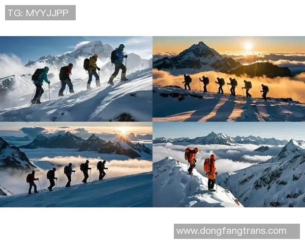 重庆飞盘队的转型之路：极限运动嘉年华背后的奋斗与梦想