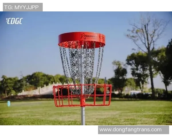 飞盘运动热潮下的北京飞盘队技术革新与发展探讨