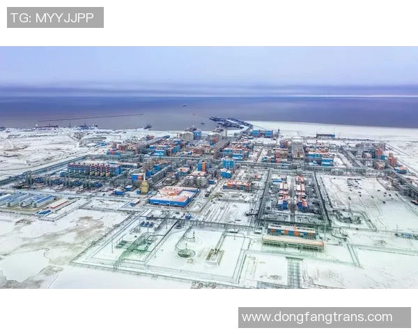 亚马尔地区的能源战略与全球气候变化的应对措施探讨